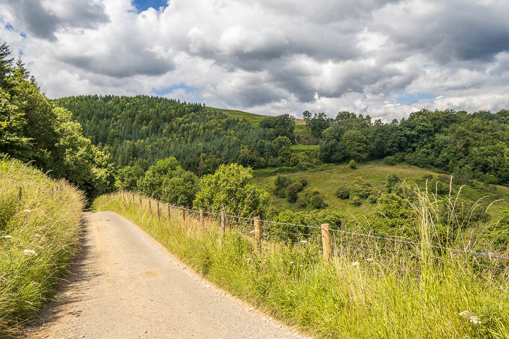 Dunge Wood Dunge Wood